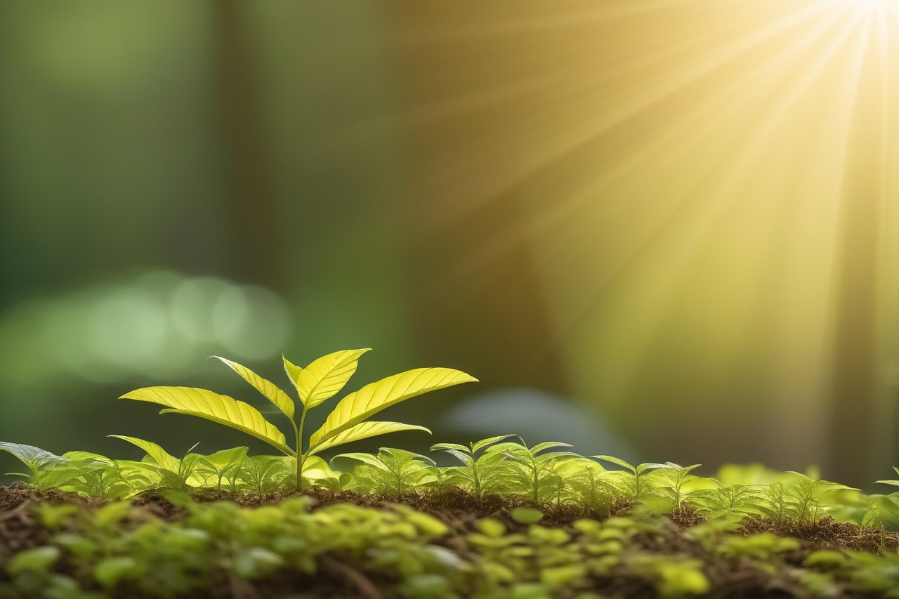 Growing and Healing